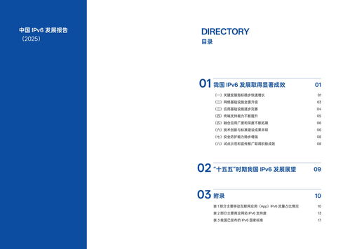 我國IPv6發(fā)展實現(xiàn)跨越式突破 2025年活躍用戶達8.65億推動互聯(lián)網(wǎng)開發(fā)與應(yīng)用