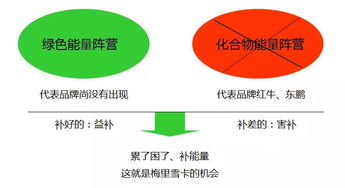 梅里雪卡香雪制藥飲品營銷策劃案例解析